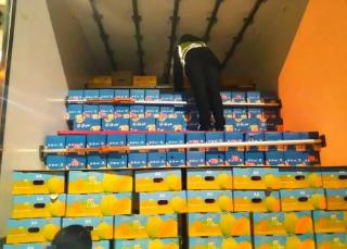 高速收費站嚴厲打擊假冒綠色通道車輛，保障政策落實